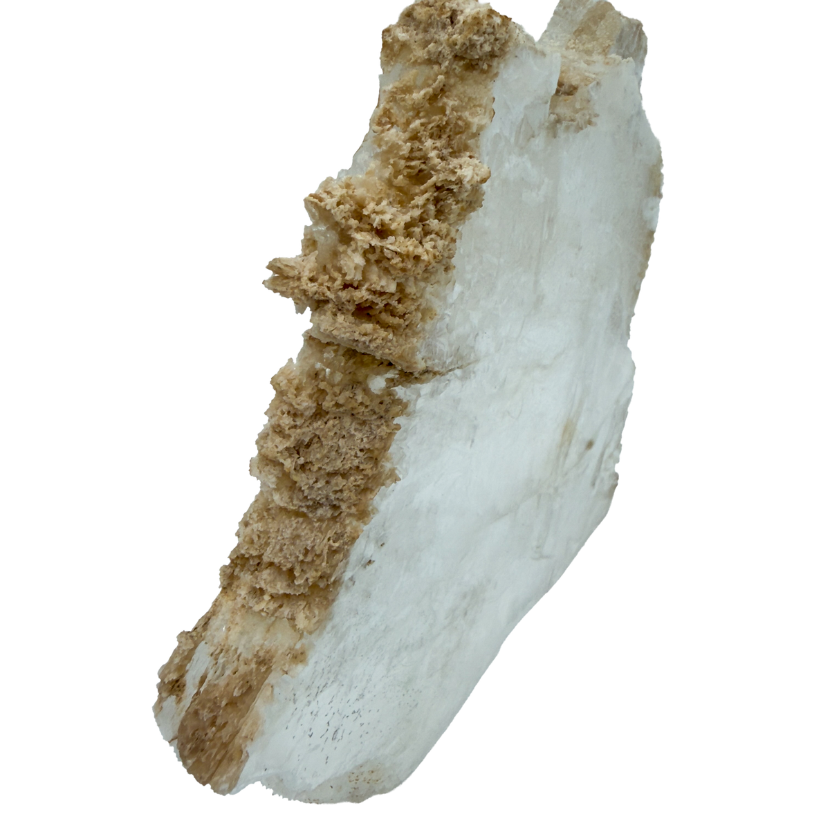 AAA grade selenite standing slab from New Mexico, further angle, translucent white gypsum fiber, specimen 74.