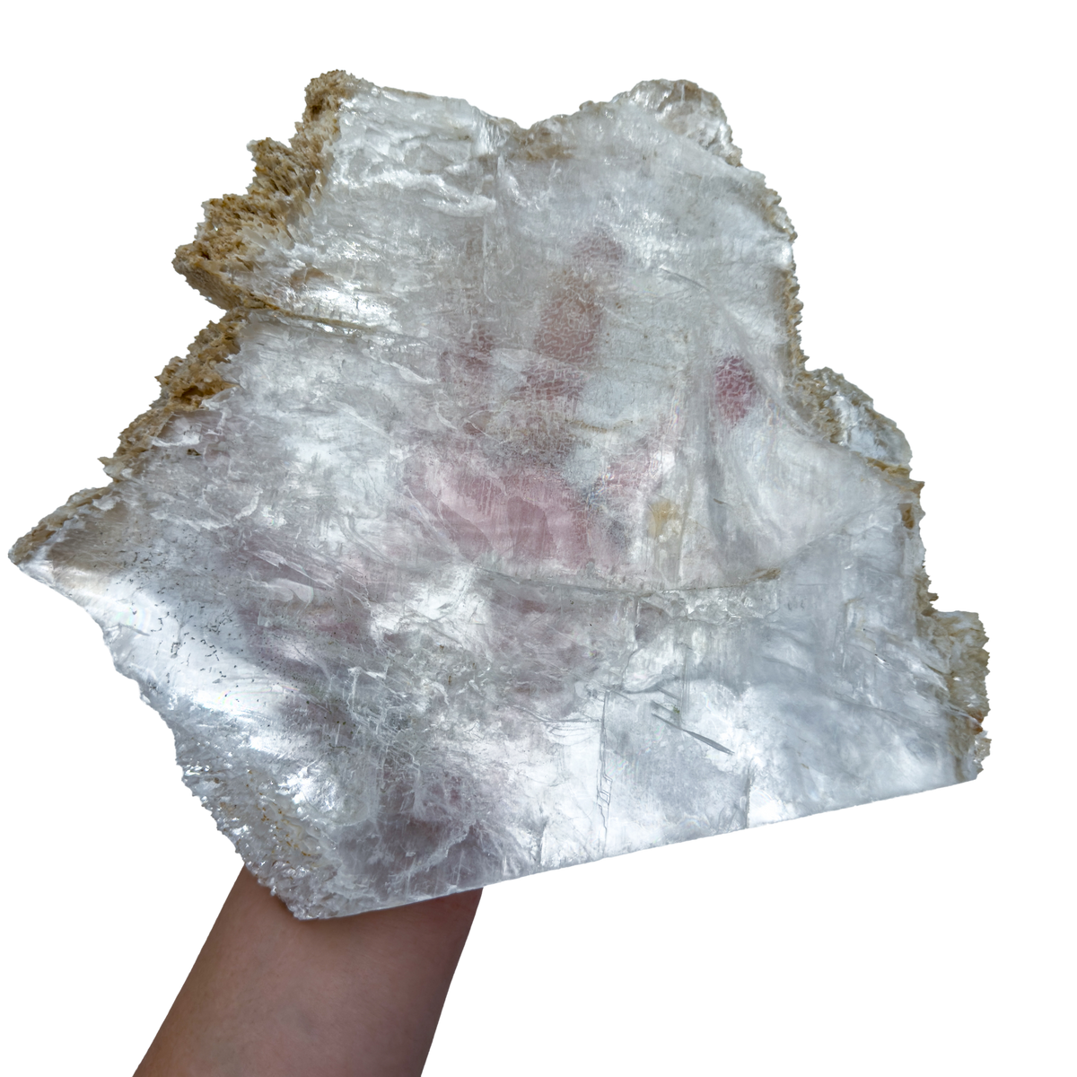 Selenite standing slab from New Mexico held in an open hand, showing the true scale of this 4.23 pound piece, specimen 74.
