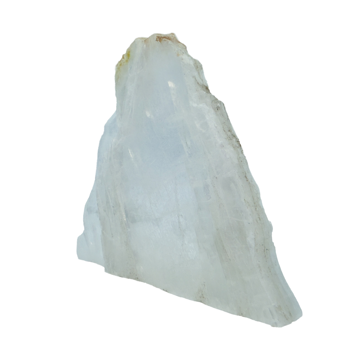 AAA grade selenite standing slab from New Mexico, left profile, translucent white gypsum fiber, specimen 75.
