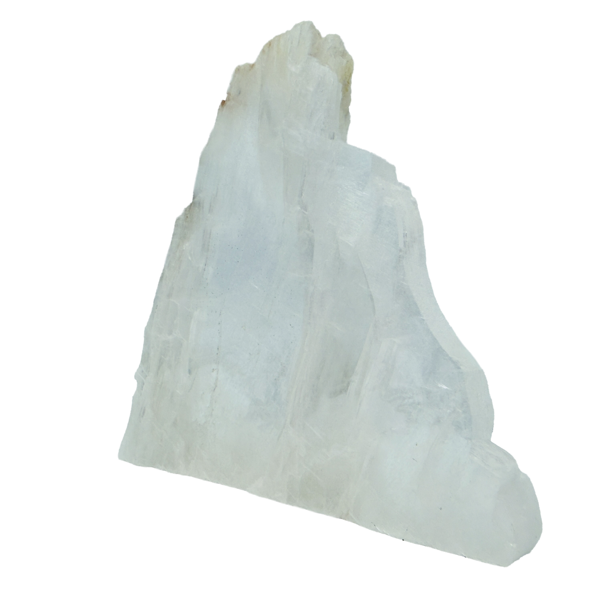 AAA grade selenite standing slab from New Mexico, right profile, translucent white gypsum fiber, specimen 75.