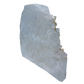 AAA grade selenite standing slab from New Mexico, top edge detail, translucent white gypsum fiber, specimen 77.
