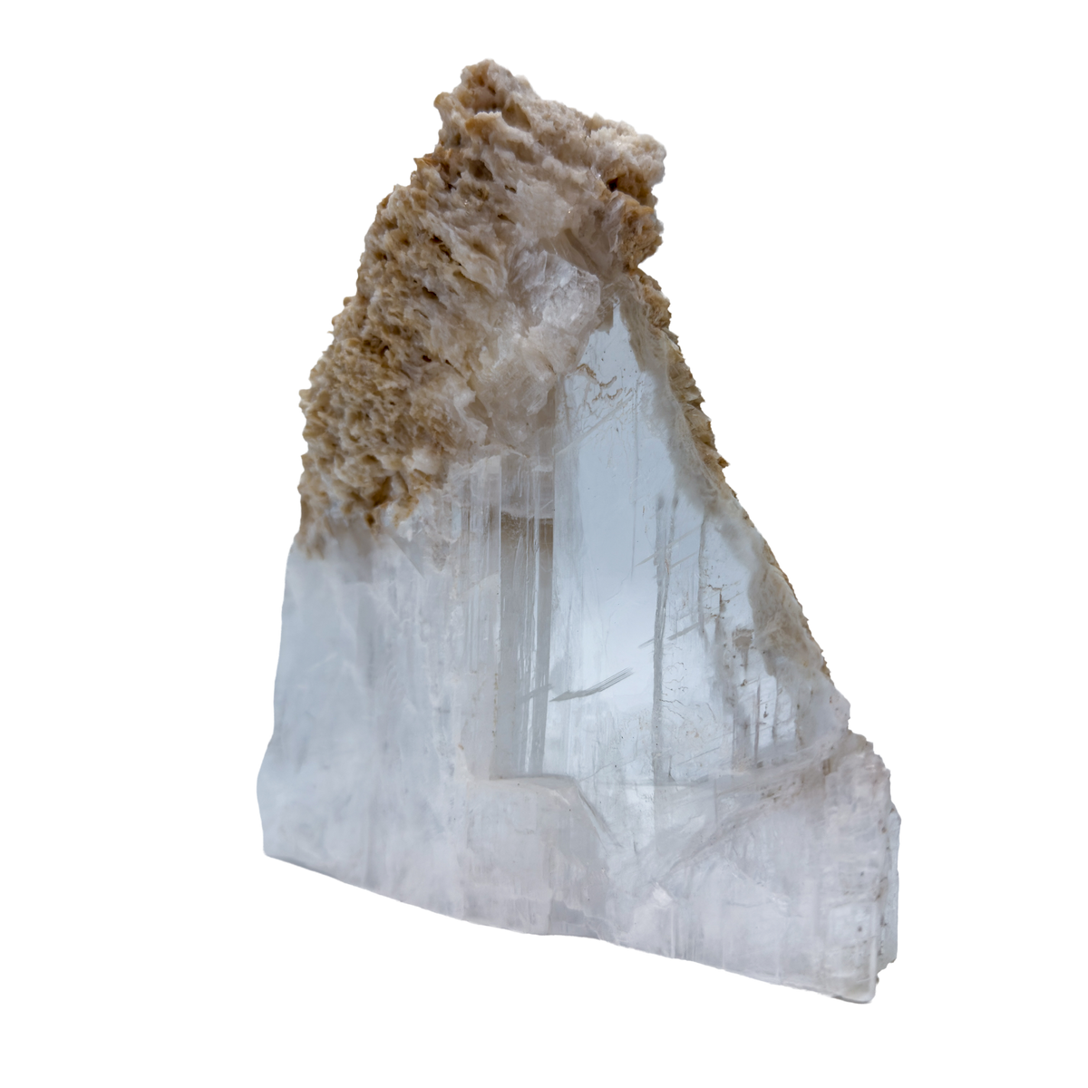 AAA grade selenite standing slab from New Mexico, right profile, translucent white gypsum fiber, specimen 78.