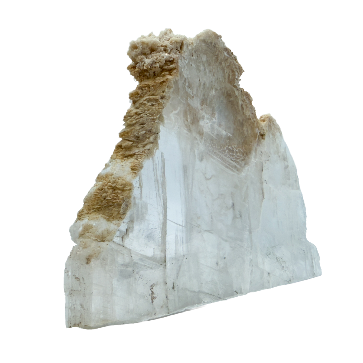 AAA grade selenite standing slab from New Mexico, left profile, translucent white gypsum fiber, specimen 78.