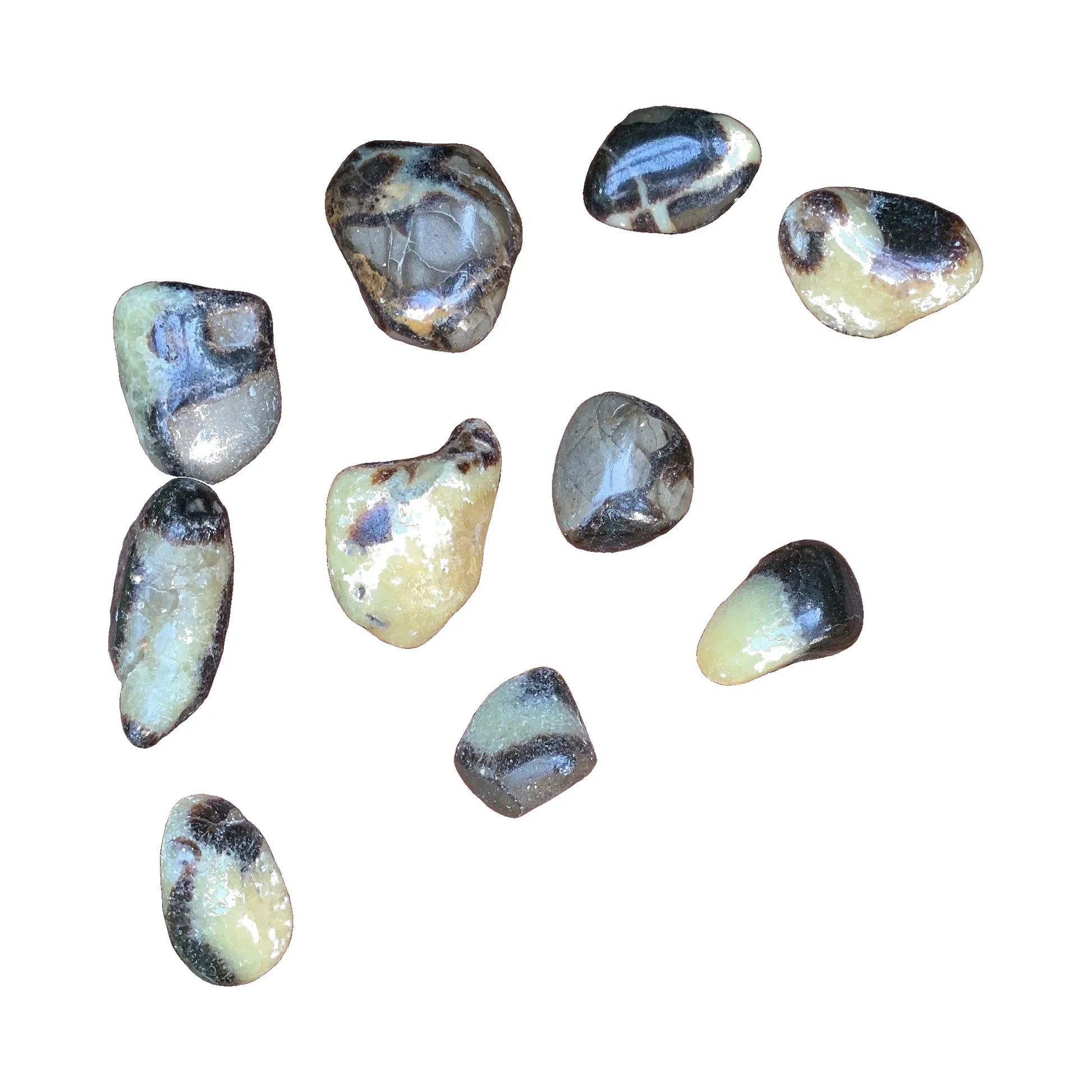 Septarian Crystals traditionally associated with Confidence, Focus & Grounding — brown polished, AA grade directly from Madagascar