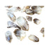 Smoky Quartz Crystals for Anxiety Relief, Calm & Cleansing — brown natural, natural unheated, AA grade directly from Zimbabwe