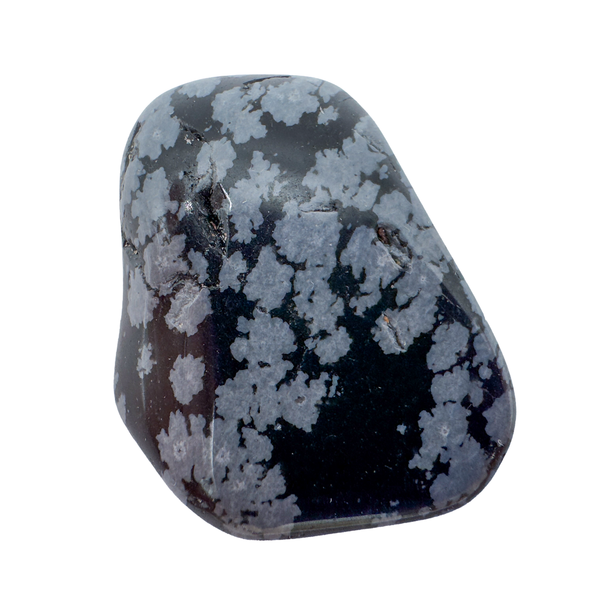 Detail view of AA Grade Snowflake Obsidian tumbled stone from Utah