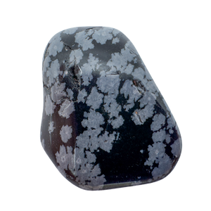 Snowflake Obsidian Tumbled Stones