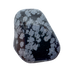 Detail view of AA Grade Snowflake Obsidian tumbled stone from Utah