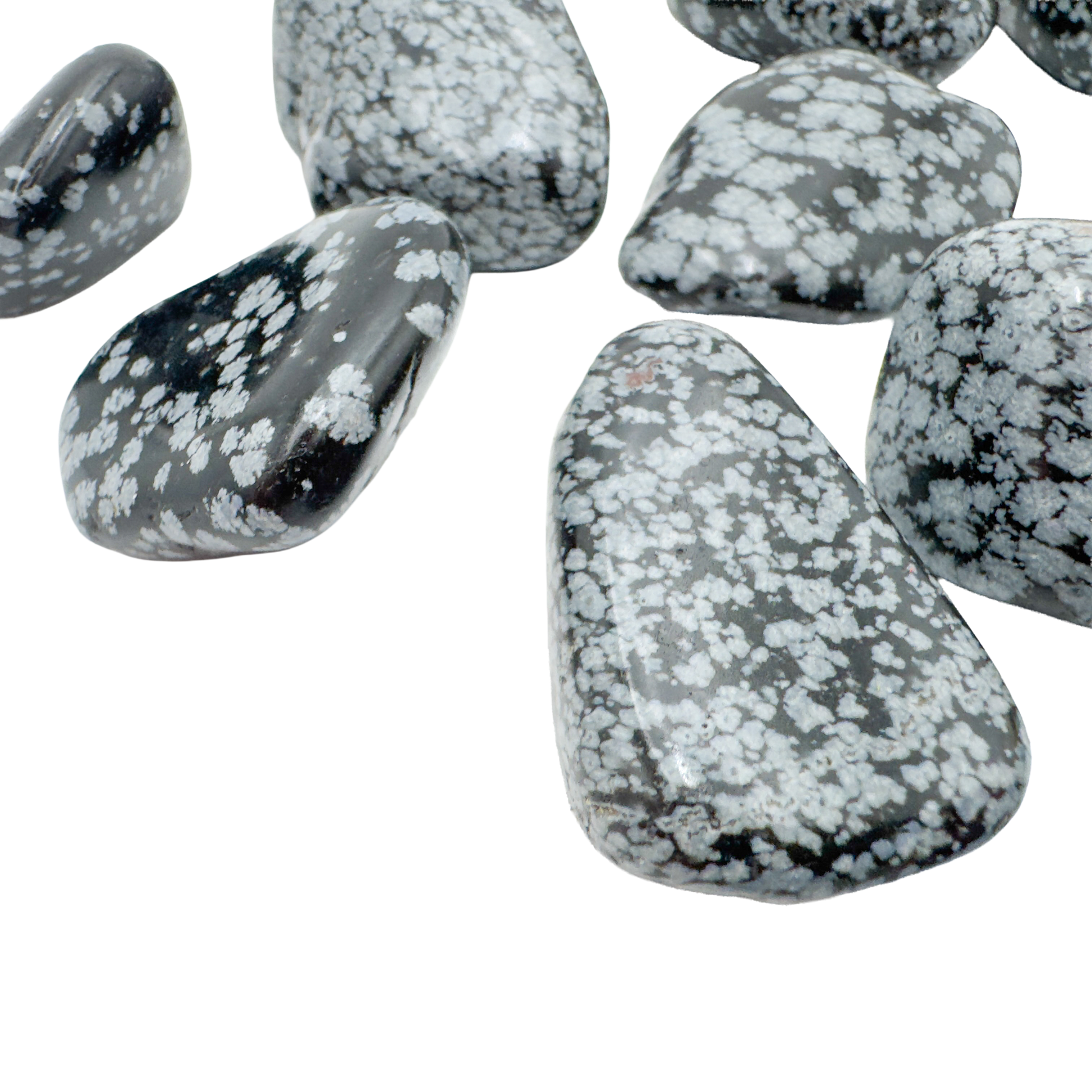 Group of Snowflake Obsidian tumbled stones showing glossy black surface and white speckling