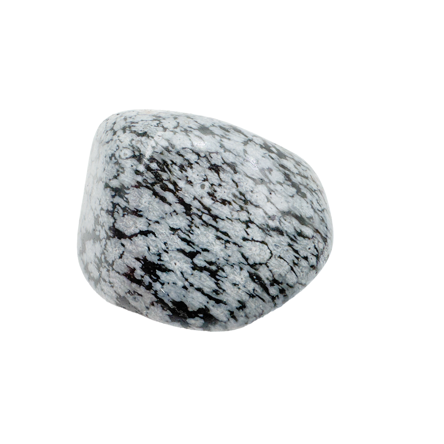 Single Snowflake Obsidian tumbled stone, AA grade from Utah United States