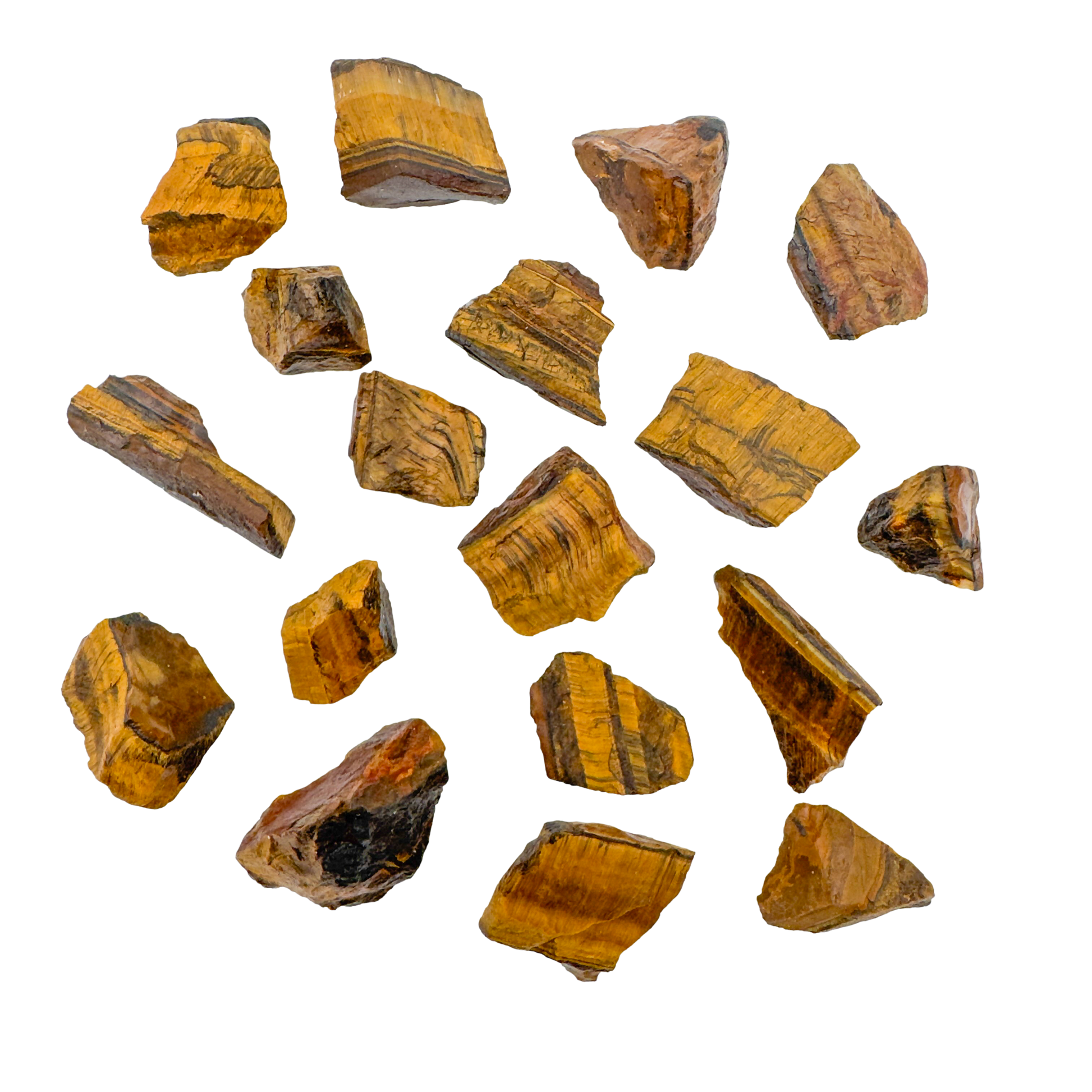 Tiger Eye raw stones scattered flat lay, A grade golden brown rough from Northern Cape South Africa, 1 to 2 inch