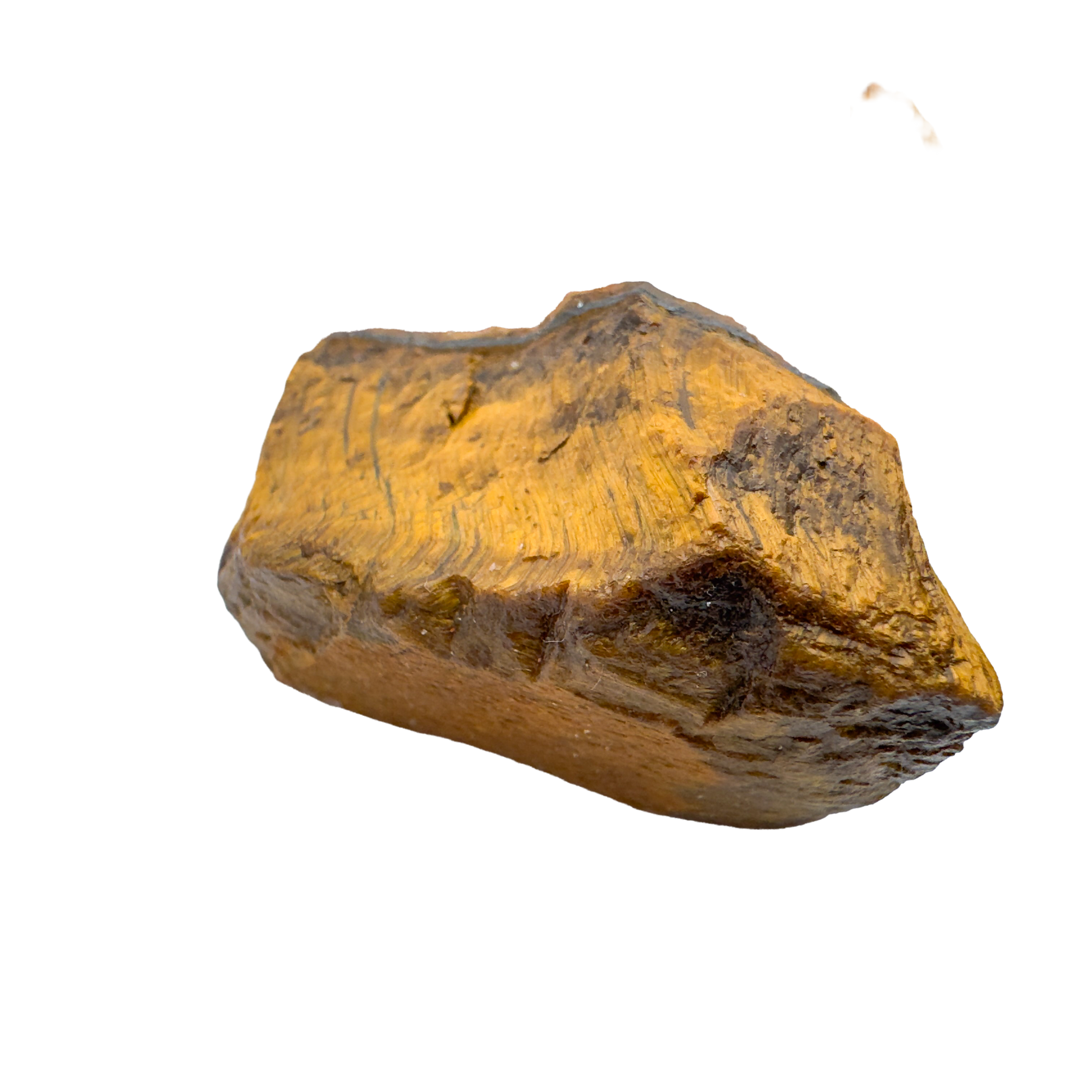 Single Tiger Eye raw stone with chatoyant gold face, 1 to 2 inch, A grade