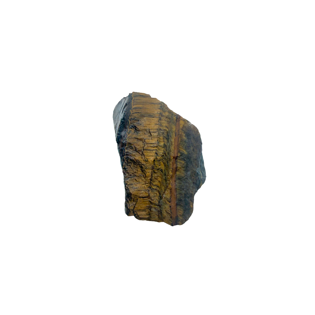 Single raw Tiger Eye stone standing upright, its broken face striped with gold chatoyant fiber against darker host rock.