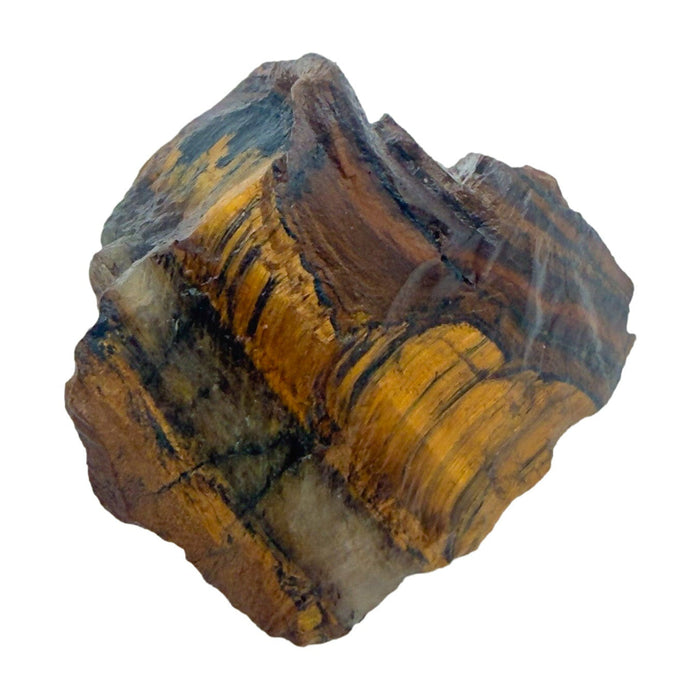 Tiger Eye Raw Stones, A Grade, South Africa: one representative stone on a white background
