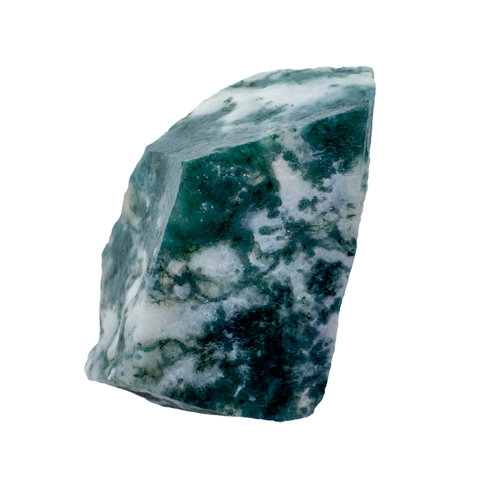 Tree Agate Raw Stones | A Grade | Botswana | 1–2 Inch