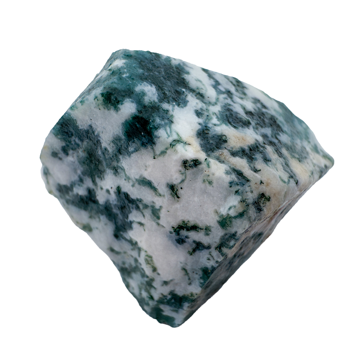 Close detail of A Grade Tree Agate raw stone from Botswana
