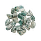 Tree Agate Crystals to support Emotional Healing, Grounding & Healing — green polished, hand-selected A directly from Botswana